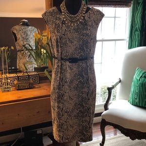 Calvin Klein Knit Dress